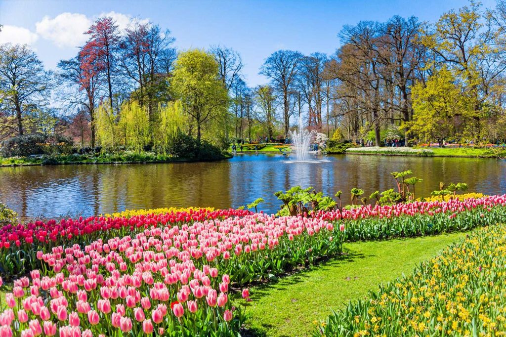 فستیوال گل‌های لاله (Keukenhof و Bloemencorso)